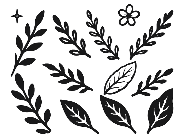 Minimalist Botanical Leaves Free SVG File for Members – Floral Branch clipart
