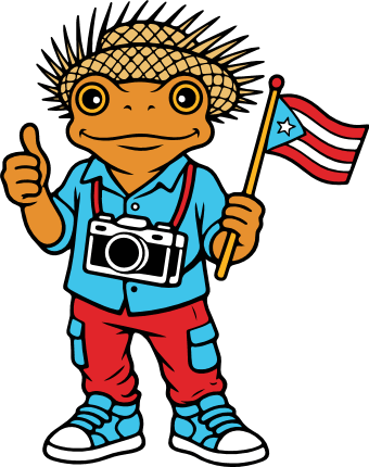 Cartoon frog character with Mexican hat, camera and USA flag Free SVG File for Members – tourist frog clipart