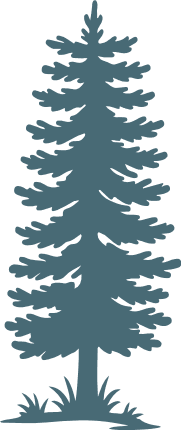 Tall pine tree silhouette Free SVG File – Evergreen Forest Tree clipart