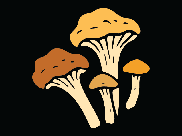 Wild Mushrooms Free SVG File – forest mushroom clipart