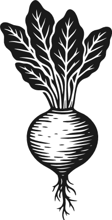 Detailed Turnip silhouette Free SVG File – Garden Vegetable clipart