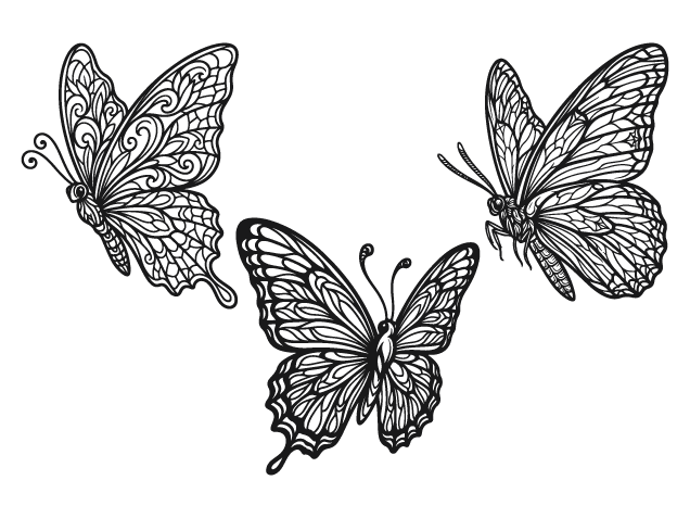 Decorative Detailed Butterfly Free SVG File Bundle for Members – Butterfly clipart