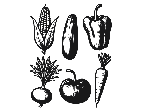 Corn, Cucumber, Bell Pepper, Beetroot, Carrot Free SVG File Bundle for Members – Vegetable clipart