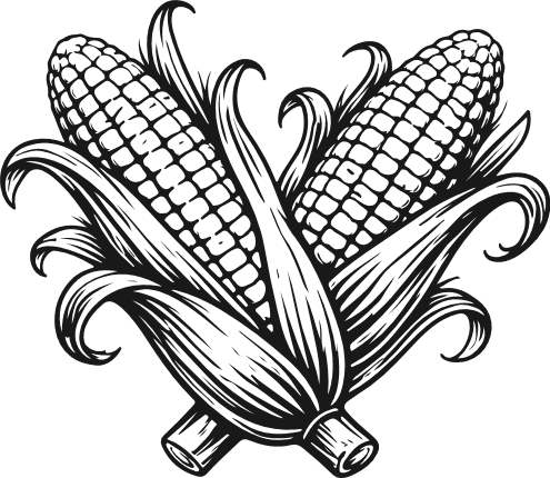 Sweet Corn Free SVG File for Members – farm food clipart