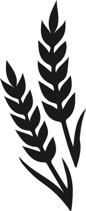 Wheat Silhouette Free SVG File – Grain Plant clipart image