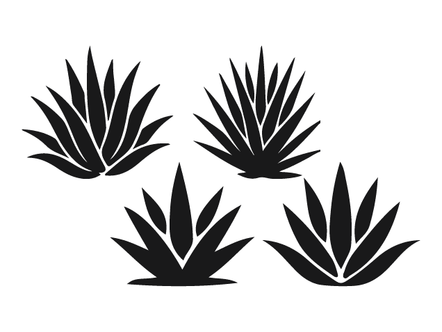 Agave & Aloe Plant silhouette Free SVG File Bundle for Members – Succulent plant clipart