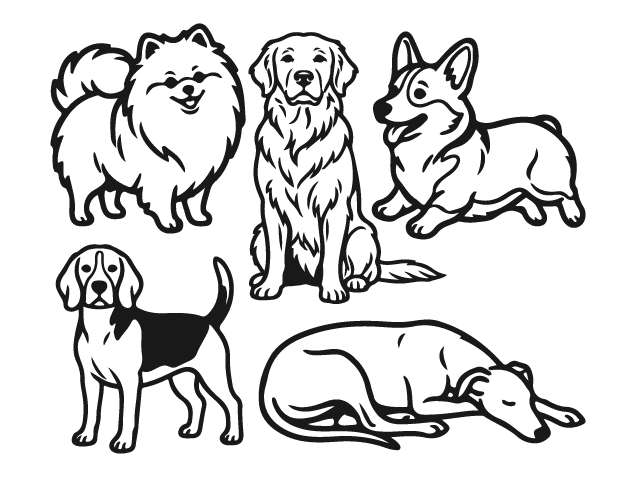 Cute Pomeranian, Greyhound, Golden Retriever, Beagle Free SVG File Bundle for Members – Dogs clipart