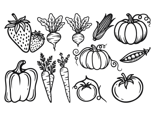 Corn, pumpkin, pepper, beetroot, carrot Free SVG File Bundle for Members – Vegetables clipart