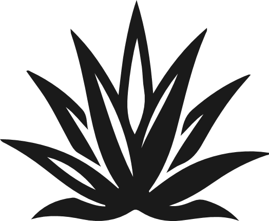 Minimal Agave Plant silhouette Free SVG File – Desert Succulent clipart