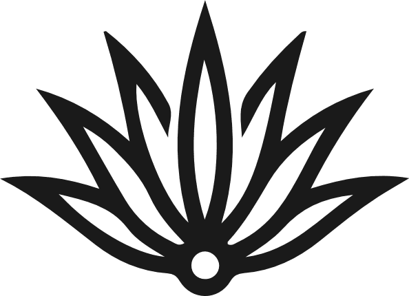 Agave Plant silhouette Free SVG File – Desert Succulent clipart image