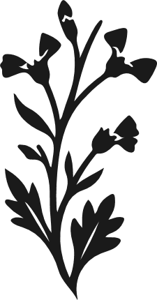 Wildflower Stem silhouette Free SVG File – floral clipart image