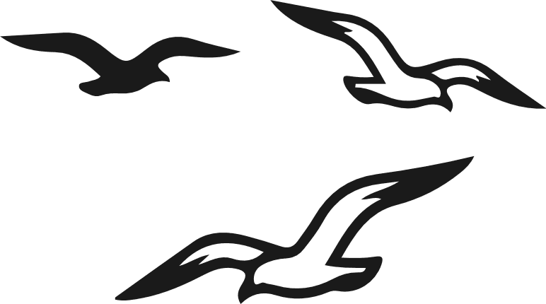 Flying Birds Silhouette Free SVG File for Members – bird clipart image