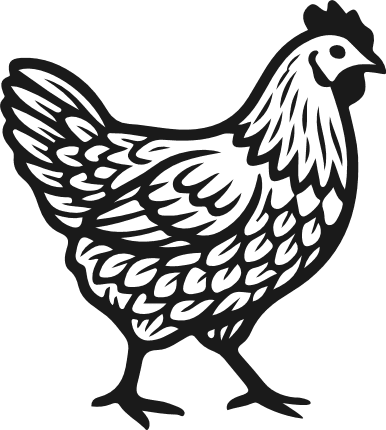 Detailed Hen Free SVG File for Members – Farm Chicken clipart