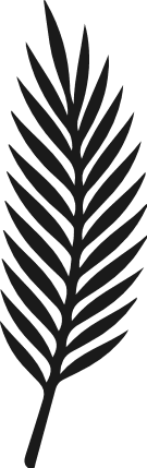 Minimal Palm Leaf Silhouette Free SVG File – Tropical Leaf clipart image