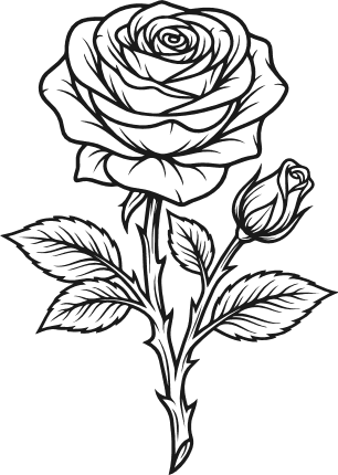 Elegant Rose Flower Free SVG File for Members – floral clipart image