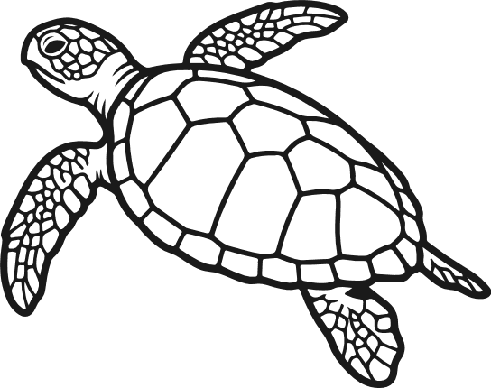 Detailed Sea Turtle Free SVG File for members – Ocean Turtle clipart image