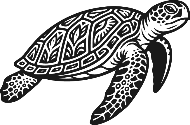 Bold sea turtle Free SVG File for Members - Detailed Turtle clipart image