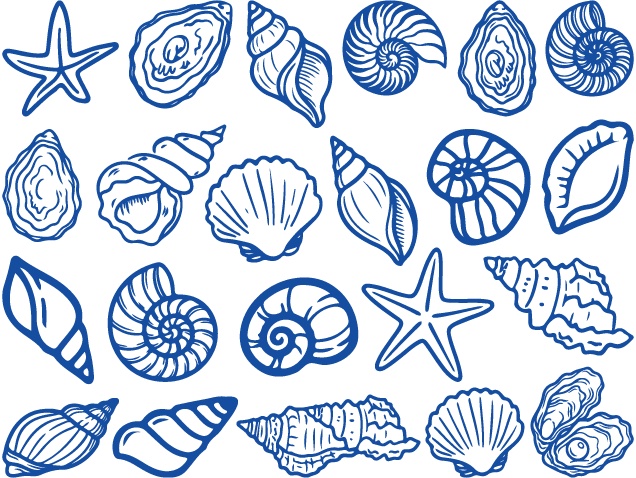 Starfish and Seashells Free SVG File Bundle for Members – Sea Elements clipart