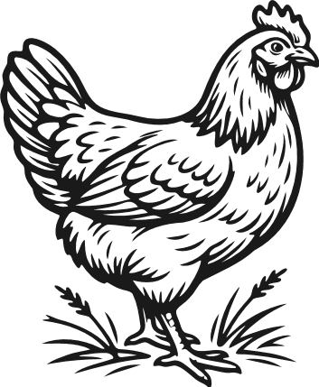 Rustic Hen Free SVG File for Members – Farm Chicken clipart image