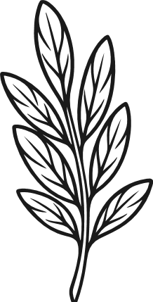 Minimal Leaf Stem silhouette Free SVG File – Leaf clipart image