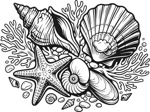 Starfish, Seashells, coral Free SVG File for Members – ocean elements clipart