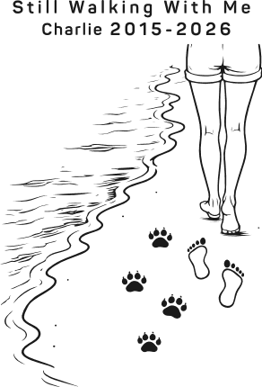 Still Walking With Me Free SVG File for Members – personalized name pet lover design